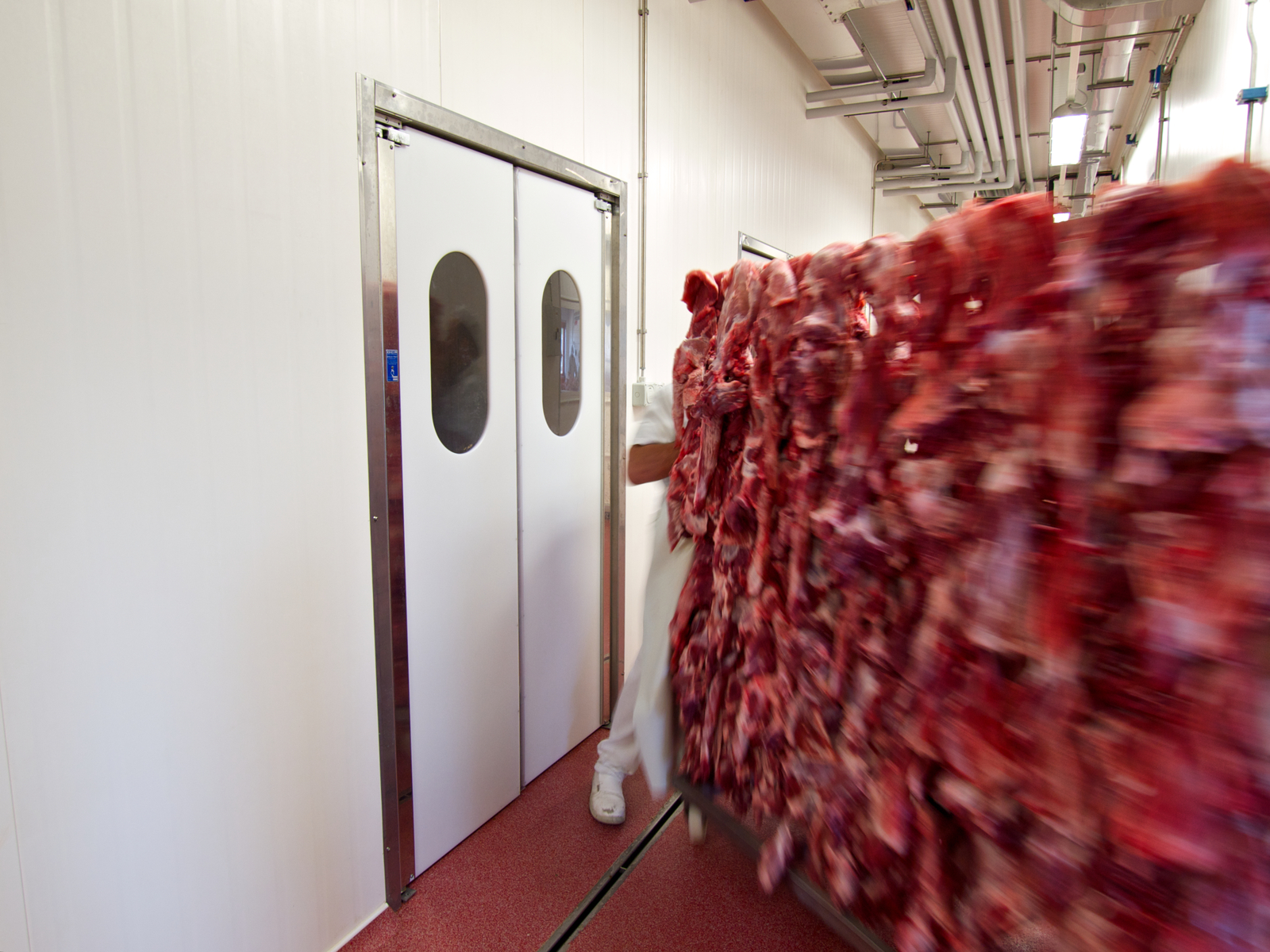 OCM polyethylene door meat